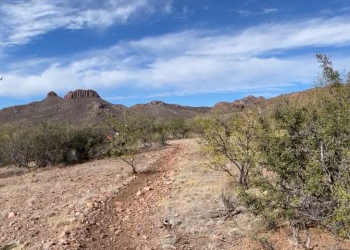 Scenic view of the trail in the Tumacocori Mountains