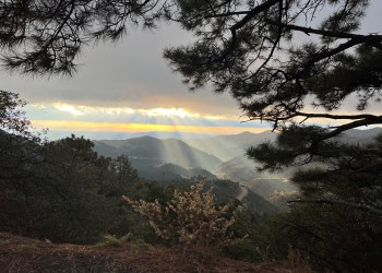 Beams of light filter through sunlit clouds, shining on distant mountains, framed by tree branches.