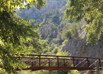 Photo of a steel bridge over a creek surrounded by green vegetation