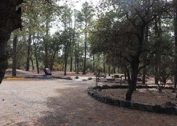 Photo of a tree covered picnic area and parking