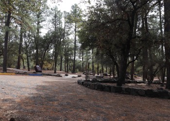 Ponderosa pine and oak trees shade the picnic sites at Little Walnut