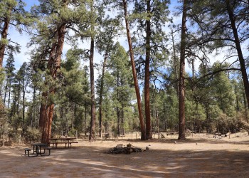 view of a campsite