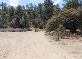 View of a wide parking area next to a forest road