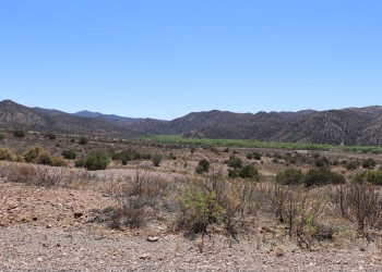 A view overlooking a valley with a strip of green trees along the river