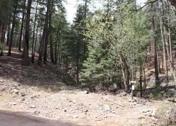 View of a trail sign and wide spot on Bursum Road