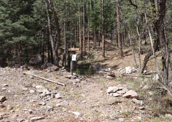 View of the start of Deloche Trail