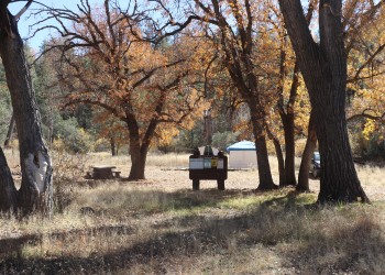 View of a campground sign set in a grassy area between trees