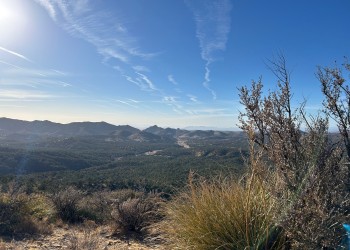 View overlooking the landscape of the Gila National Forest
