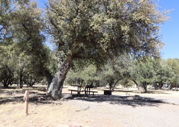 Photo of a campsite with site marker, picnic table, fire ring, and grill under a mix of sun and shade