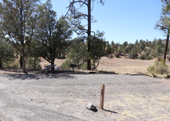 Photo of a campsite with site marker, picnic table, fire ring, and grill under a mix of sun and shade