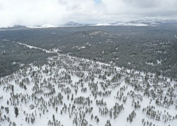 Aerial view of a treated area covered in snow