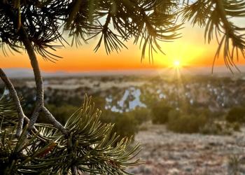 Santa Fe National Forest