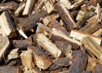 Image of cut up firewood