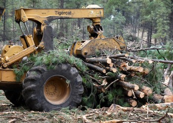 A yellow wheeled forestry machine, called a skidder, carrying a group of small cut trees in its mechanical "hand".