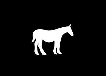 Horse icon.