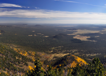 An expansive view from the top of Kendrick Mountain with a forested landscape dotted with ancient volcanic cinder cones and clear meadow areas, and the bright yellow color of aspen trees in fall color along the flanks of Kendrick Mountain in the foreground and the San Francisco Peaks in the background.