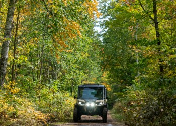 OHV on designated trail.