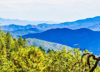 Mountain range with pine trees in the foreground.