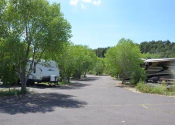 RVs parked on pavement in tree shaded campsites.