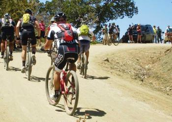Mountain bikers racing uphill on a dirt road.