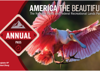 Picture of 2025 Annual Pass Front