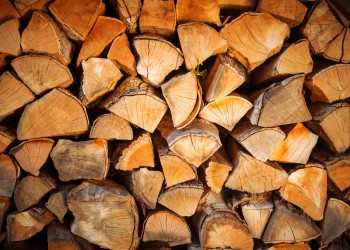 Image of stacked firewood
