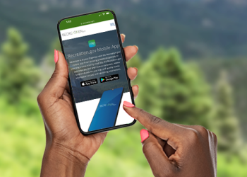 A person holding a smartphone with trees in the background