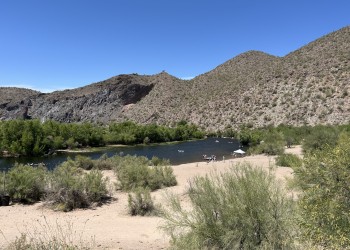 Sandy beach along the river shoreline