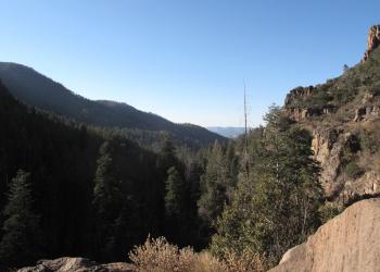 Scenery of Workman Creek in the Pleasant Valley Ranger District