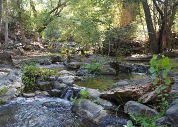 Seven Springs Cave Creek RD