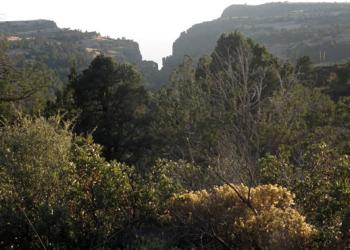 Upper Canyon Creek Campground