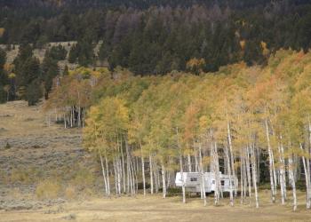 Photo of camp trailer in aspen grove with fall leaves