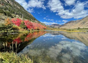 Photo of Lake with mirrored reflection of trees with fall-colored leaves. Mountains and cloud covered sky in background