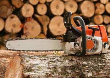 A chainsaw with logs in background
