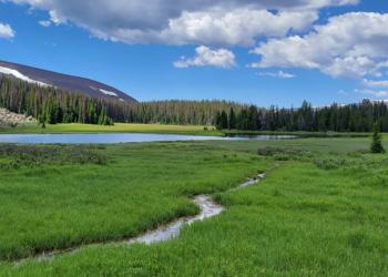 Lake with marsh and stream 