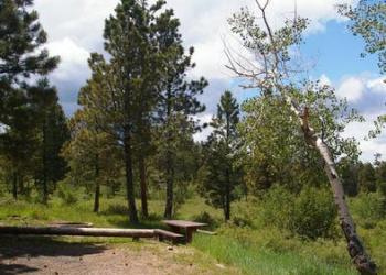 Campsite