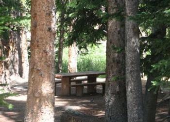 Campsite