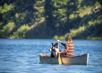 A person with their dog rowing in a boat on the water