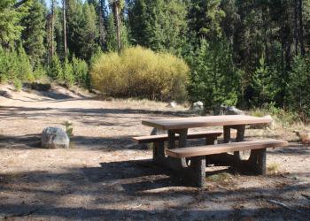 Picnic table at site