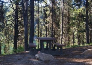 Cozy Cove Camp site
