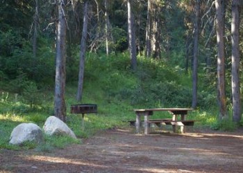 Picnic table in a site surrounded by trees