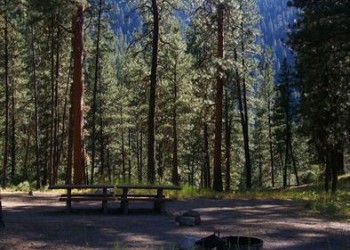 Camp Site with picnic table and trees