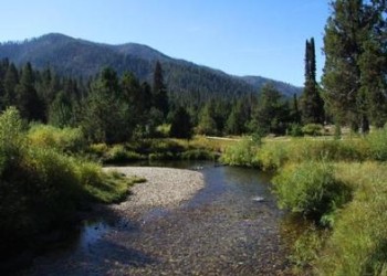 creek view