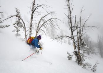 Backcountry skier carving through fresh powder snow in the forest
