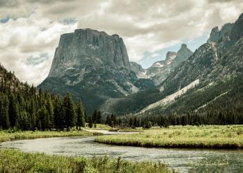 Squaretop Mountain and forest