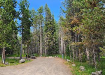 Flatrock Campground Site