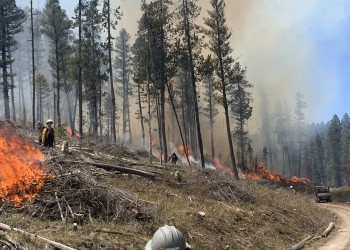Firefighters burning slash piles on the forest near a road