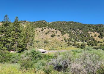 Mink Creek Group Campground Overview