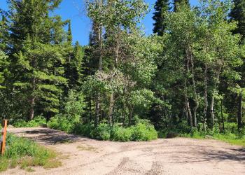 Paris Springs site