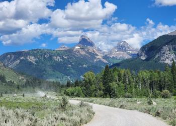 Road to Reunion Flat Campground